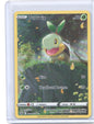 Turtwig Ultra Rare SWSH: Crown Zenith: Galarian Gallery GG31/GG70 NM