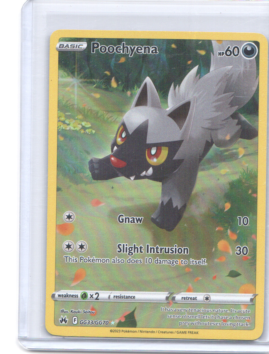 Poochyena Ultra Rare SWSH: Crown Zenith: Galarian Gallery GG33/GG70 NM