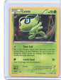 Celebi Promo XY Promos XY187 MP