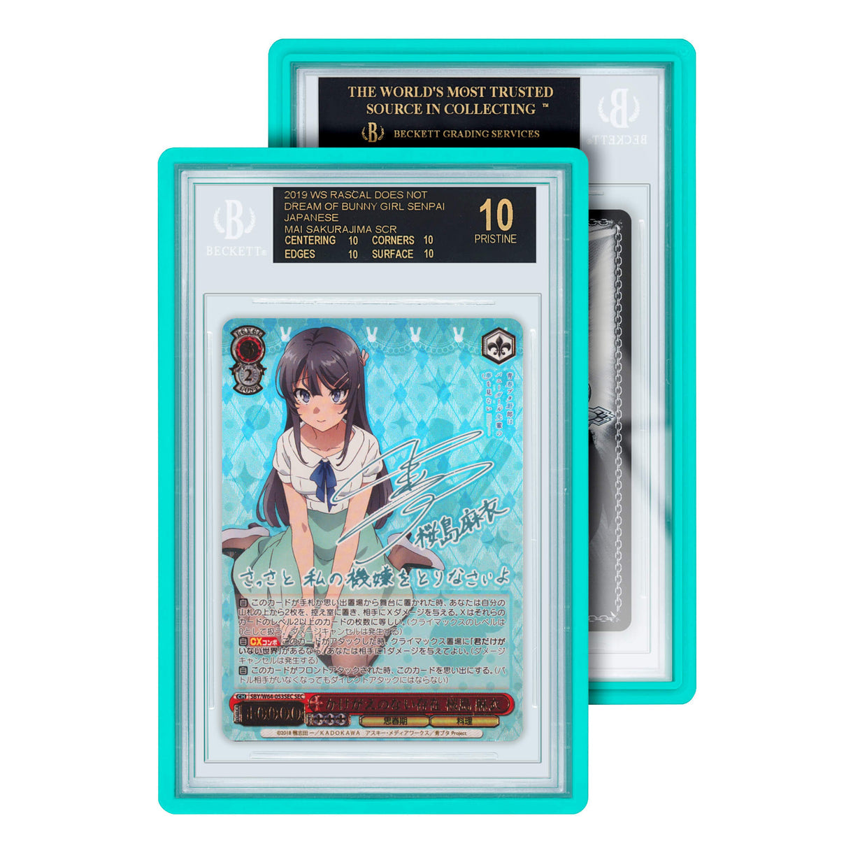 Graded Guard - BGS Standard Case (PRE-ORDER)