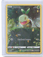 Crown Zenith: Galarian Gallery #GG31/GG70 Turtwig