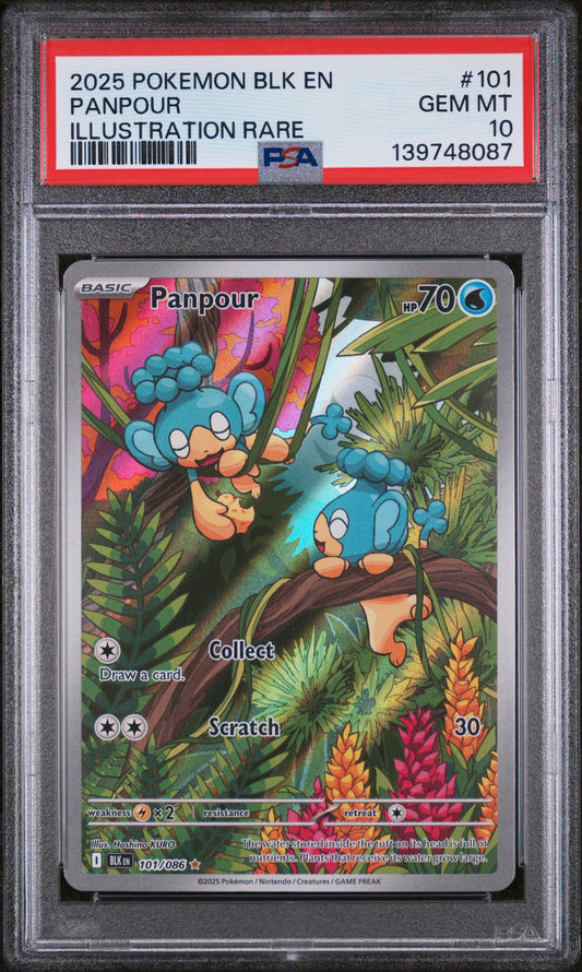 2025 Pokemon Blk En-Black Bolt #101 Panpour Illustration Rare PSA 10