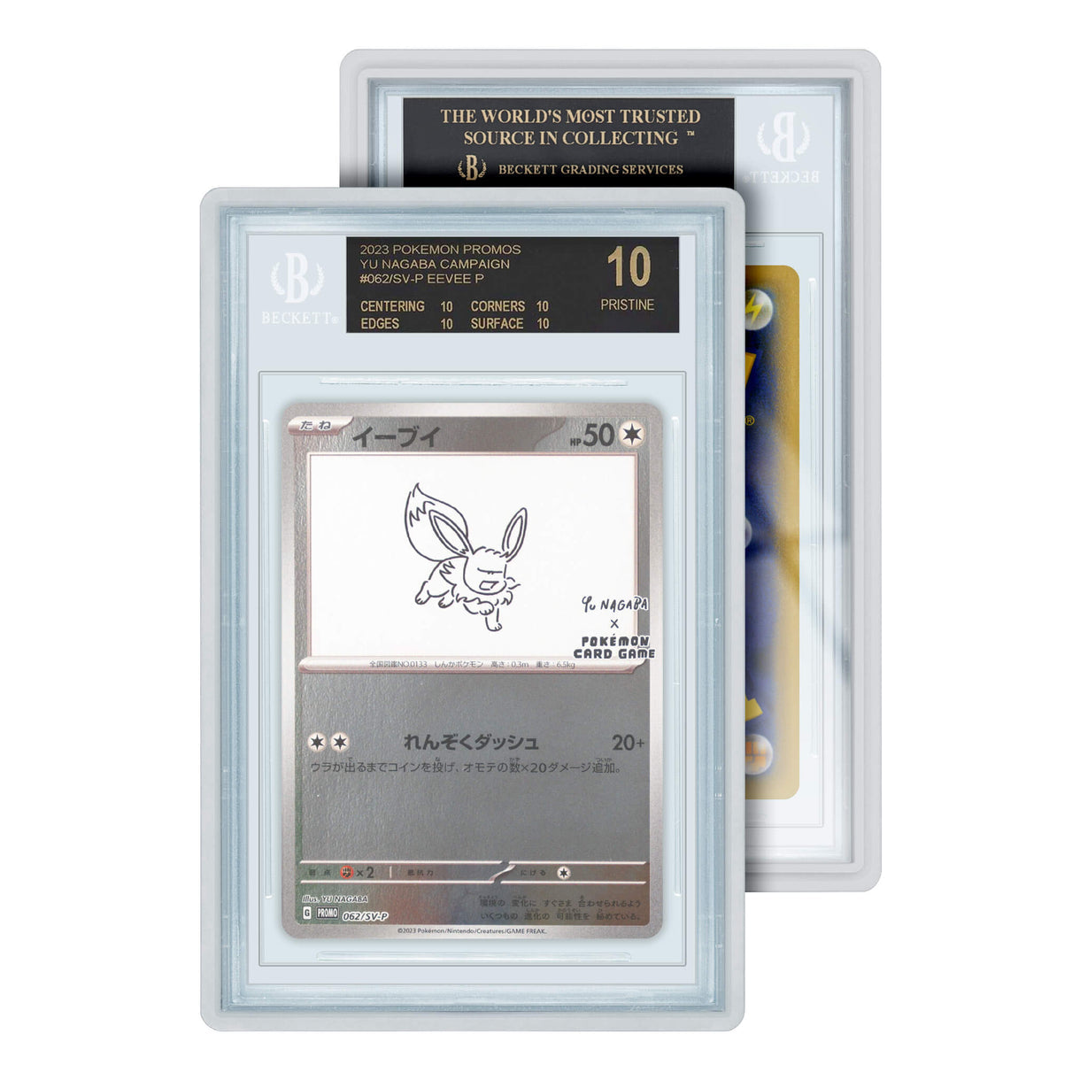 Graded Guard - BGS Standard Case (PRE-ORDER)