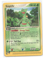Sceptile - Rare Ruby and Sapphire 20/109 NM