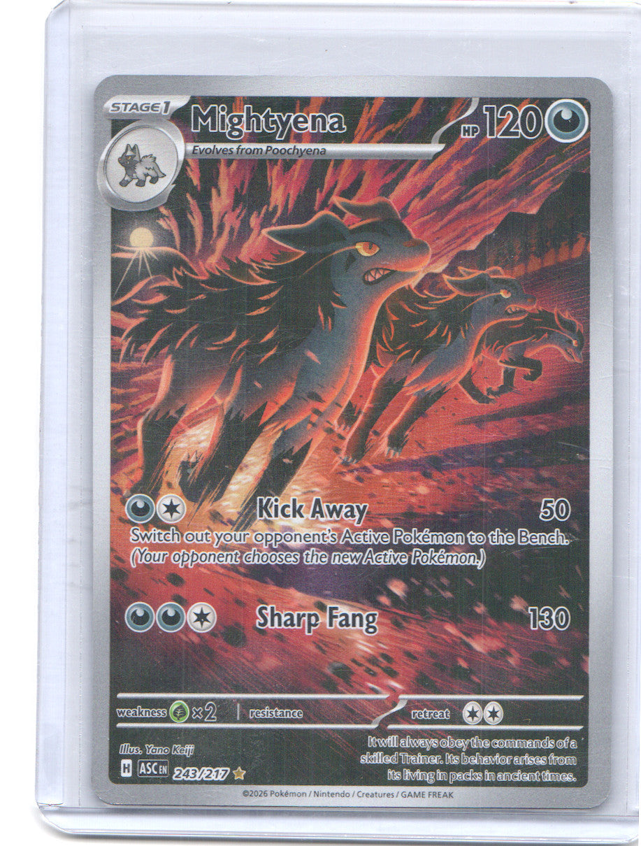 Mightyena Illustration Rare ME: Ascended Heroes 243/217 NM