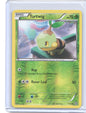 Turtwig Common Plasma Storm 1/135 NM