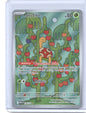 Shuckle Illustration Rare ME01: Mega Evolution 136/132 NM