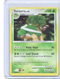 Torterra Holo Rare Diamond and Pearl 17/130 NM