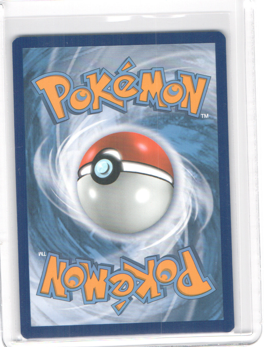 Eldegoss V Promo SWSH: Sword & Shield Promo Cards SWSH084 NM